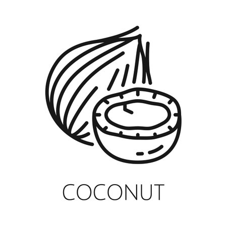 Coconut fruit in hard shell isolated coco nut outline icon. Vector exotic food, tropical palm tree nut, oil and milk drink ingredientのイラスト素材