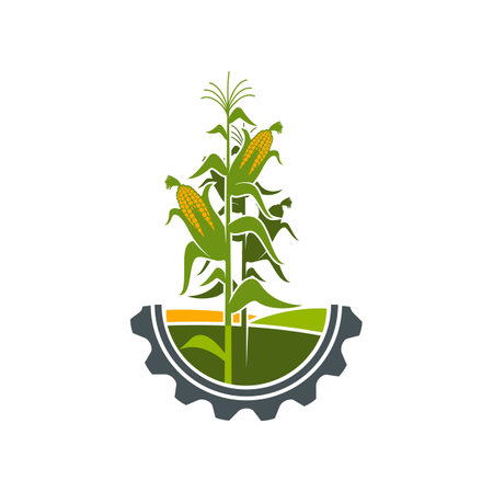 Agriculture icon, field of corn in cogwheel circle, farmland and farmhouse vector symbol. Corn harvest with cobs on green plant emblem for agriculture and agrarian industry or farming technologyのイラスト素材