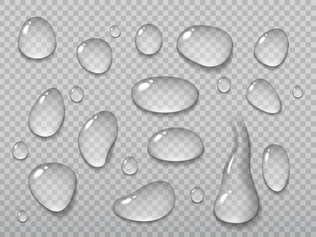 Realistic water drops on transparent background. Vector droplets of rain or dew, water vapor or steam condensation on wet surface. 3d clear aqua drops and liquid bubbles with light reflectionsのイラスト素材