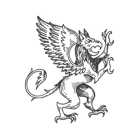 Griffin or gryphon medieval heraldic animal sketch. Fantasy gryphon, mythical animal or magic beast history crest, hand drawn vector sign. Mythology creature medieval coat of arms, heraldry insigniaのイラスト素材