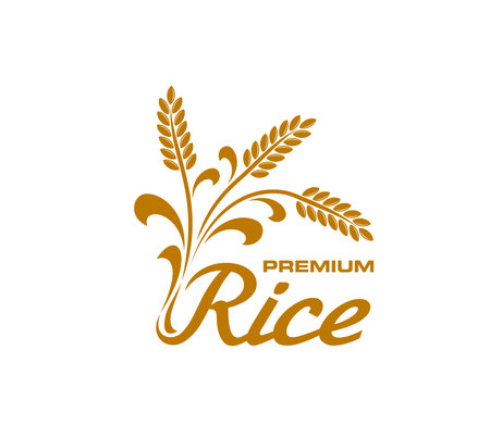 Rice icon, isolated vector badge with golden spikelets, grains and leaves. Cereal food label for production package. Premium rice groats crop, cultivated plants emblem with graceful inscriptionのイラスト素材