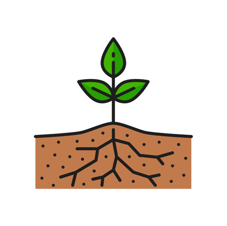 Plant in soil growth, agriculture color line icon. Plant cultivation vector icon with sprout roots grow in ground, agriculture or agronomy pictogram. Seedling germination, farming outline symbolのイラスト素材