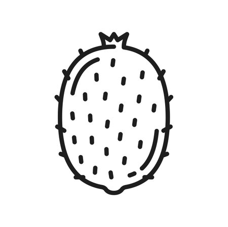 Kiwi fruit superfood dietary product thin line icon. Vector Chinese gooseberry, berry tropical exotic kiwi fruit superfruit dessert, healthy dieting snackのイラスト素材