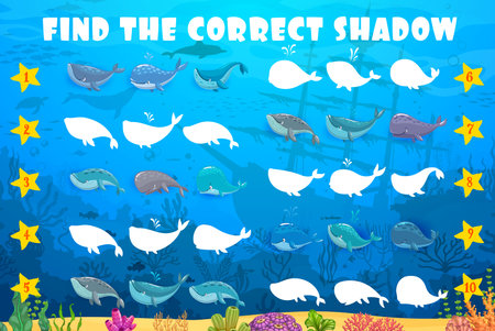 Find the correct shadow of whale, cachalot and sperm whale cartoon characters, underwater landscape. Kids vector matching game, riddle worksheet with aquatic animals in ocean seascape with sunken shipのイラスト素材