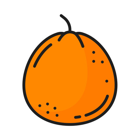 Orange mandarin or clementine, whole tangerine citrus fruit isolated color line icon. Vector exotic tropical food dessert. Citrus fruit lemonade ingredientのイラスト素材