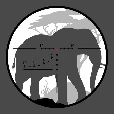 Elephant silhouette target, hunting sport. African savanna wildlife safari hunt adventure, big five game hunting concept with elephant silhouette in sniper rifle optical sight, rifle scope crosshairのイラスト素材