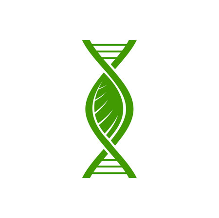 Plant DNA icon, leaf and green gene helix strand vector symbol of biotechnology research, nature, biology and medicine. Plant cell DNA, chromosome helix with green leaf sign, organic genetics scienceのイラスト素材