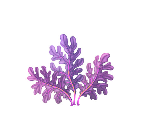 Cartoon underwater carrageenan moss seaweed plant. Aquarium and sea algae. Aquarium marine plant, tropical sea aquatic flora or ocean underwater deep weed, coral reef isolated vector undersea algaeのイラスト素材