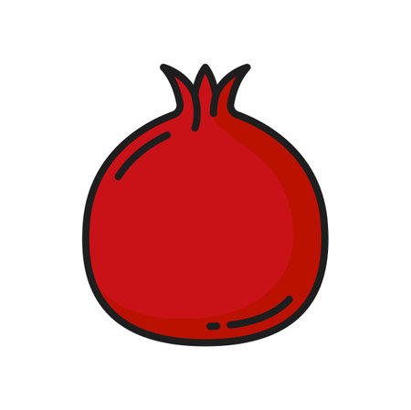 Red pomegranate isolated summer fruit color line icon. Vector exotic healthy snack, juicy ripe pomegranate food dessertのイラスト素材