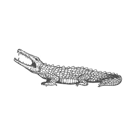 Crocodile ancient aztec animal isolated alligator sketch reptile icon. Vector vintage sea monster, retro crocodile with sharp teeth and clawsのイラスト素材