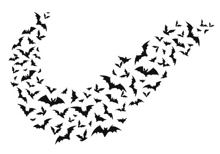 Halloween flying bats, isolated vector winged swarm of vampire animals curve wave fly on white background. Creepy bats flock black silhouettes, spooky fauna creatures group flow graphic design elementのイラスト素材