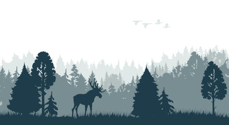 Silhouette of morning forest with moose and ducks flock. Canada or Alaska nature landscape, european forest wildlife or woodland vector background with moose male, trees and flying birds silhouettesのイラスト素材