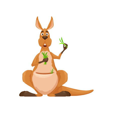 Cartoon kangaroo character with green grass in pouch, vector cute Australian animal. Funny comic cartoon kangaroo with grass leaf for food eating, cheerful kangaroo from Australia for kids zooのイラスト素材