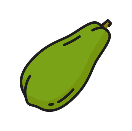 Green papaya exotic fruit, color icon of raw food dessert, thin line. Vector tropical pawpaw, fragrant fruit healthy eating. Papaya asian Thai juicy snackのイラスト素材