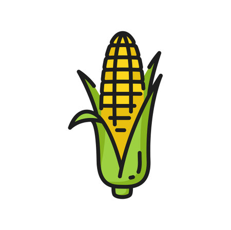 Corn cob yellow isolated maize with leaves color line icon. Vector maize cereal grain, natural food. Sweetcorn veggie, popcorn ingredientのイラスト素材