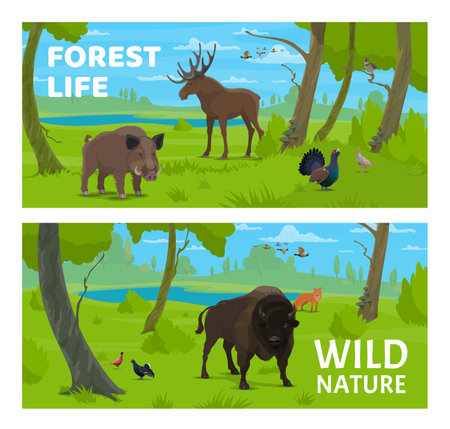 Forest animals and birds, hunting sport. Forest hunting season, shooting hobby or hunt trophy vector backdrop. National park animals and birds banner with boar, moose, duck and grouse, bison, foxのイラスト素材