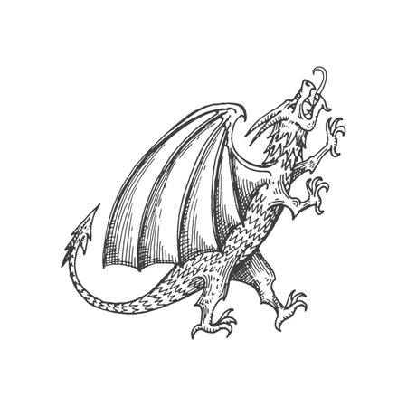 Dragon medieval heraldic animal monster sketch. Mythical animal, mythology winged dragon or magic beast medieval vector sign. Heraldry hand drawn emblem or royal coat of arms legendary animal symbolのイラスト素材