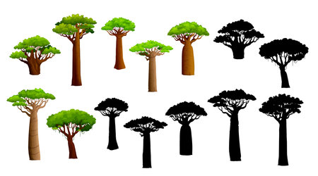 African baobab trees and silhouettes. Isolated vector set of majestic and ancient plants, stand tall with their iconic swollen trunks and spreading branches, symbolizing resilience in arid landscapesのイラスト素材