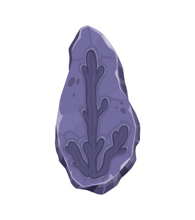 Ancient fossil, plant imprint in stone. Prehistoric aquatic plant piece stone isolated vector imprint, jurassic era water plant paleontology museum rock or extinct seaweed archaeological findのイラスト素材