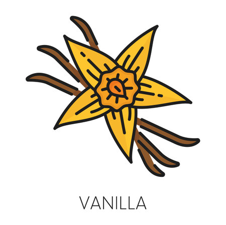 Flower and vanilla pods isolated cinnamon sticks, color icon. Vector orchid flower and leaves, vanilla flavoring condiment, aromatic spicy seasoningのイラスト素材