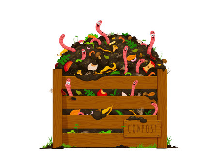 Funny earth worms in wooden compost box with soil ground and organic garbage, cartoon vector. Vermicomposting earthworms in farm garden box with compost soil of bio compostable wastes or food scrapsのイラスト素材