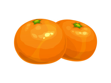 Cartoon tangerin or mandarin, Chinese New lunar year food. Whole citrus fruit, isolated vector fresh mandarins, two ripe tangerines Asian New Year, Chinese lunar calendar celebration symbolのイラスト素材
