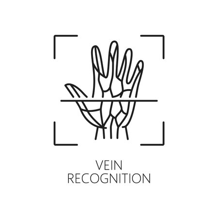 Vein recognition, Biometric identification, and verification icon. Isolated vector linear sign, featuring intertwining veins on hand inside of scanning frame. Advanced authentication for secure accessのイラスト素材