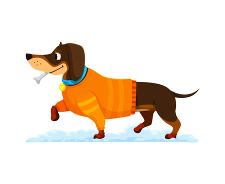 Cartoon dachshund dog puppy character adorned in cozy winter clothes, brims with adorable charm. Cute vector pet wear snug sweater, ready to embrace the winter wonderland with bone and wagging tailのイラスト素材
