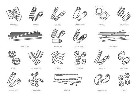 Pasta type outline icons or noodles pictograms. Farfalle, penne, gemelli, cannelloni and ravioli, radiatori various shape Italian wheat pasta, Italy cuisine noodles types thin line vector icons setのイラスト素材