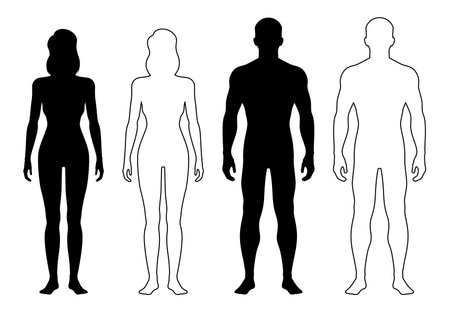 Man and woman outline figure, human body silhouette, patient front view contour. Isolated vector monochrome male and female person standing full height. Expressive lines form harmonious representationのイラスト素材