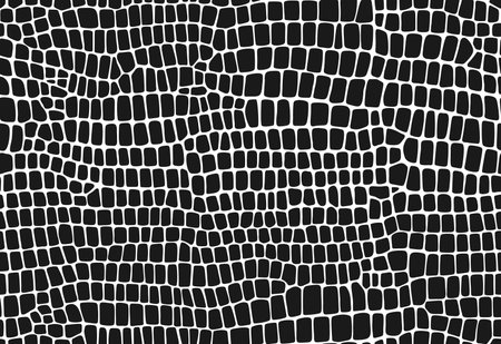 Crocodile, dinosaur and snake skin pattern, reptile animal leather background. Vector monochrome seamless texture with distinctive scales and smooth surface, conveying sophistication and eleganceのイラスト素材