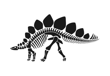 Isolated stegosaurus dinosaur skeleton fossil, dino bones black vector silhouette with distinct plates and spiked tail. Herbivorous prehistoric creature anatomy for educational paleontology materialsのイラスト素材