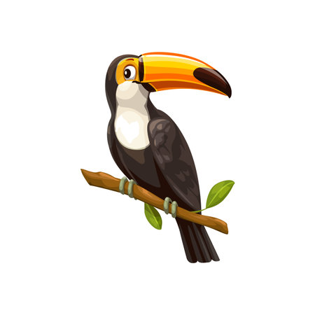 Toucan bird sitting on branch. Isolated vector tropical bird with vibrant plumage and distinctive, large, colorful bill. It inhabits central and south american forests, feeding on fruits and insectsのイラスト素材