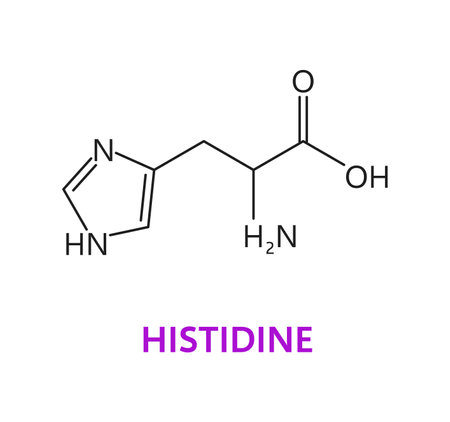 Amino acid chemical molecule of Histidine, molecular formula and chain structure, vector icon. Histidine essential amino acid molecular structure and chain formula for medicine and health pharmacyのイラスト素材