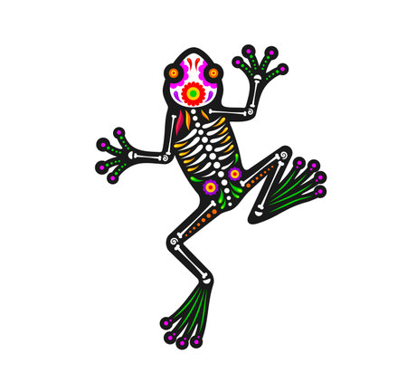 Mexican day of the dead frog animal sugar skull tattoo. Isolated vector Dia de los Muertos figure of toad amphibian with skeleton bones and floral pattern, exudes spirit of nature, fauna and wild lifeのイラスト素材
