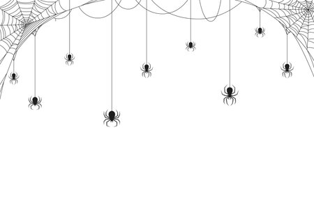 Halloween spider border. Horror scary background, spooky frame or Halloween holiday monochrome vector border, creepy tattoo with hanging black widow spiders and cobweb in cornersのイラスト素材