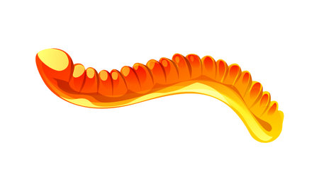 Jelly worm cartoon Halloween holiday sweets and dessert. Isolated vector orange colored gummy candy. Trick or treat fruity marmalade confectionery for children, kids party, funny earthworm or snakeのイラスト素材
