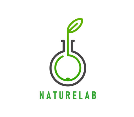 Nature lab icon or green leaf in laboratory flask for bio organic products, vector emblem. Green plant leaf in laboratory test tube icon for eco production company, healthcare or pharmacy badgeのイラスト素材