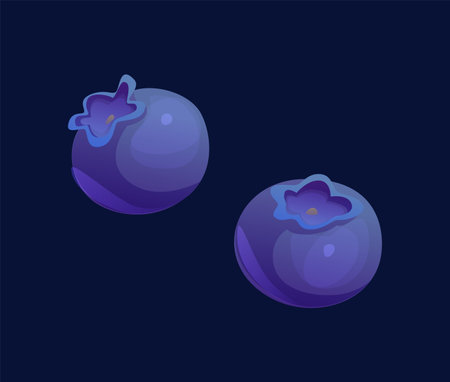 Cartoon blueberry fruits. Isolated vector two fresh berries with rich, deep blue tones and smooth peel. Sweet summer food, healthy eating, natural, juicy, vitamin product. Ripe delisicous blueberriesのイラスト素材