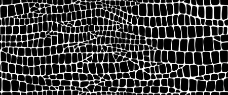 Snake reptile, crocodile or dinosaur animal leather skin pattern, vector background. Abstract black and white texture background of crocodile or snake skin pattern, python, alligator or cobra leatherのイラスト素材
