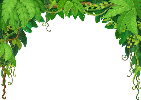 Tropical jungle forest liana vines frame of ivy branches and monstera leaves, vector background. Tropical rainforest or jungle liana frame of bindweed tree with climbing tendrils for background borderのイラスト素材