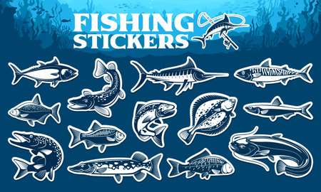 Fishing sport stickers, fishes of sea and ocean or river and lake, vector icons. Fishing stickers for fisher or fisherman sport club of salmon and pike with flounder, sardine and tuna or mackerelのイラスト素材