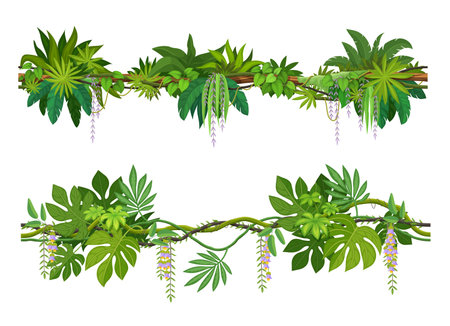 Tropical jungle forest liana branch with flowers. Cartoon vector vines with hanging blossoms. Tree, plant thicket, rainforest climbing roots, leaves, green foliage spinney. Amazon or african natureのイラスト素材