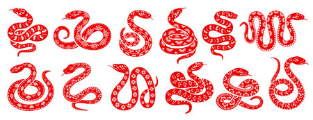 2025 Chinese lunar New Year snake reptiles for Asian holiday decoration, vector icons. Red snakes or serpent vipers in twirl circle with floral ornament for 2025 year calendar and Chinese New Yearのイラスト素材