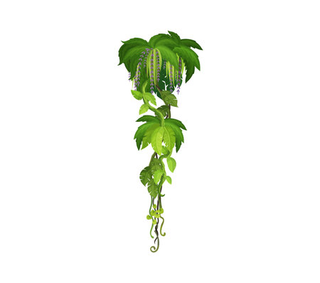 Tropical jungle forest vertical liana, vine branch. African rain forest jungle vine plant branch isolated cartoon vector line, Amazon forest nature creeper liana twig or ivy plant leaves branchのイラスト素材