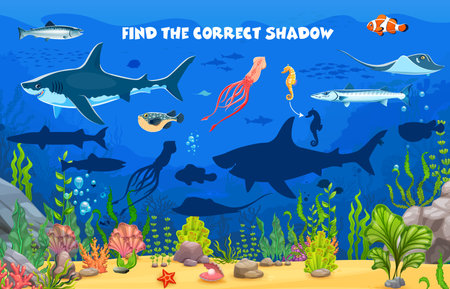Find the correct shadow of sea animals on underwater landscape vector kids game worksheet. Sea animal and fish puzzle quiz with cartoon shark, squid, tuna and seahorse, clownfish and pike charactersのイラスト素材