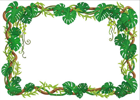Tropical jungle forest frame with lianas and green monstera leaves, vector background. Jungle liana vine branches of ivy creeper plant with green hanging leaves for cartoon decoration background frameのイラスト素材