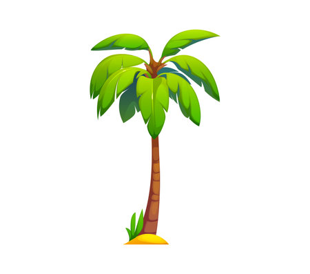 Cartoon palm or jungle tree for tropical forest of exotic plant, vector icon. Coconut or banana palm with green leaves for Hawaii vacation or Caribbean island and cartoon paradise island game elementのイラスト素材