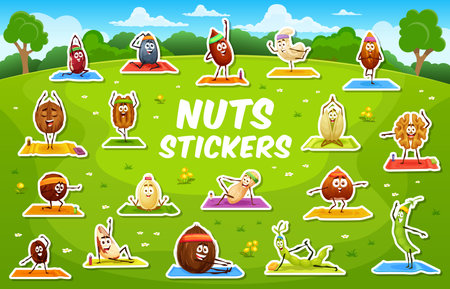 Stickers pack of nut and seeds characters on yoga fitness sport. Brazil nut, sunflower seed and cashew, almond, walnut, coconut funny vector personages doing yoga exercises in park vector stickers setのイラスト素材