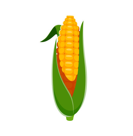 Farm font, cartoon corn vegetable number for agriculture harvest typeface, vector type. Farm font numeral for kids funny alphabet, number 1 or One as sweetcorn cob for cartoon harvest typefaceのイラスト素材